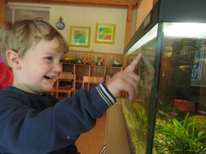 Kind schaut sich das Aquarium an