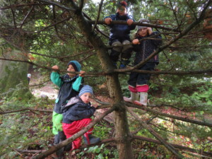 Kinder beim Klettern im Wald
